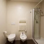 Moma باري