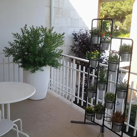 Frühstückspension Moma Bari