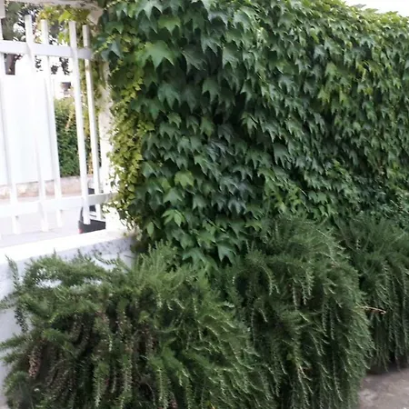 فندق مبيت وإفطار Moma باري