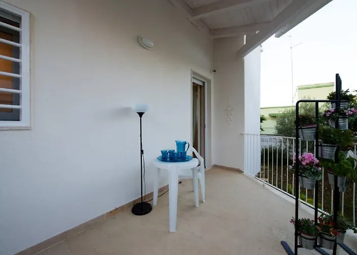 Moma לינה וארוחת בוקר