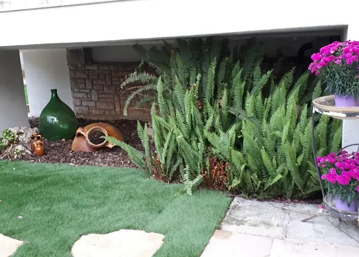 Moma לינה וארוחת בוקר *