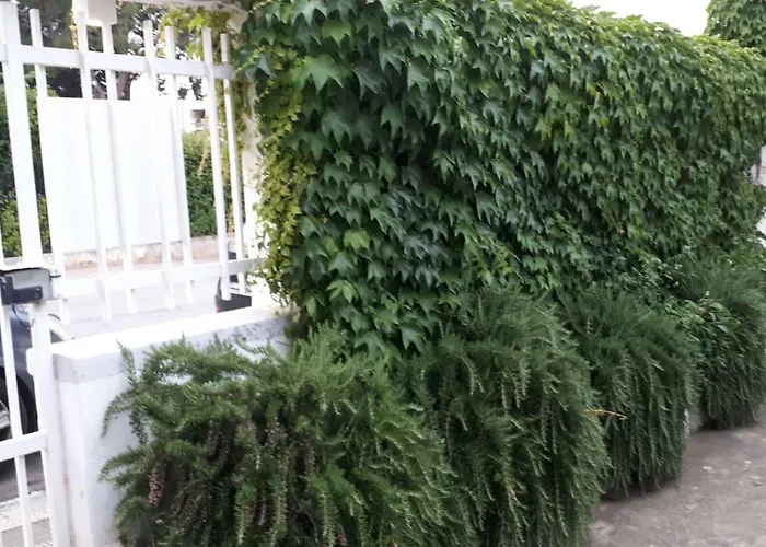 לינה וארוחת בוקר Moma בארי